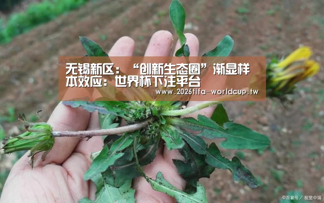 无锡新区：“创新生态圈”渐显样本效应：世界杯下注平台